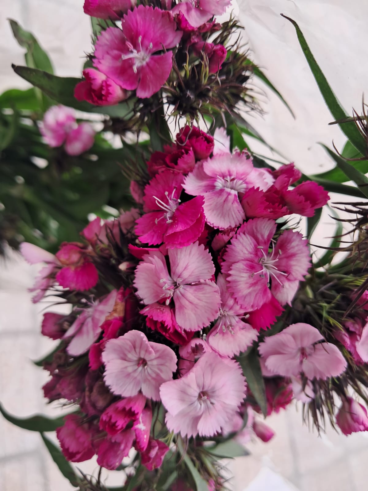 Flores da Estação — Arranjo 1